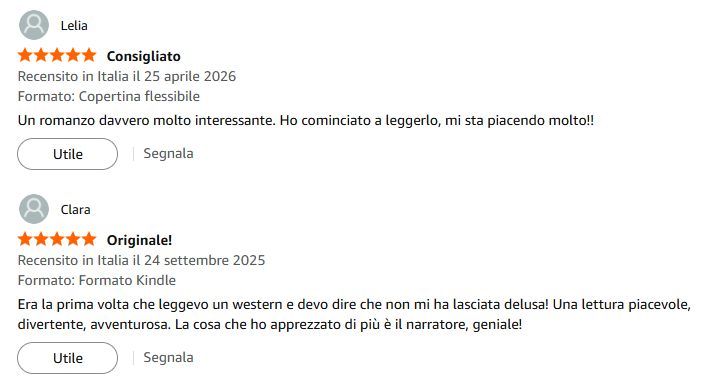 Recensioni 5 stelle su Amazon per La Ballata di Smitty Wesson